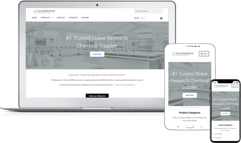 top wordpress developer