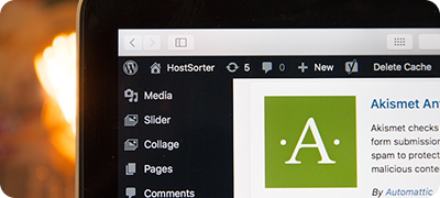 WordPress Websites